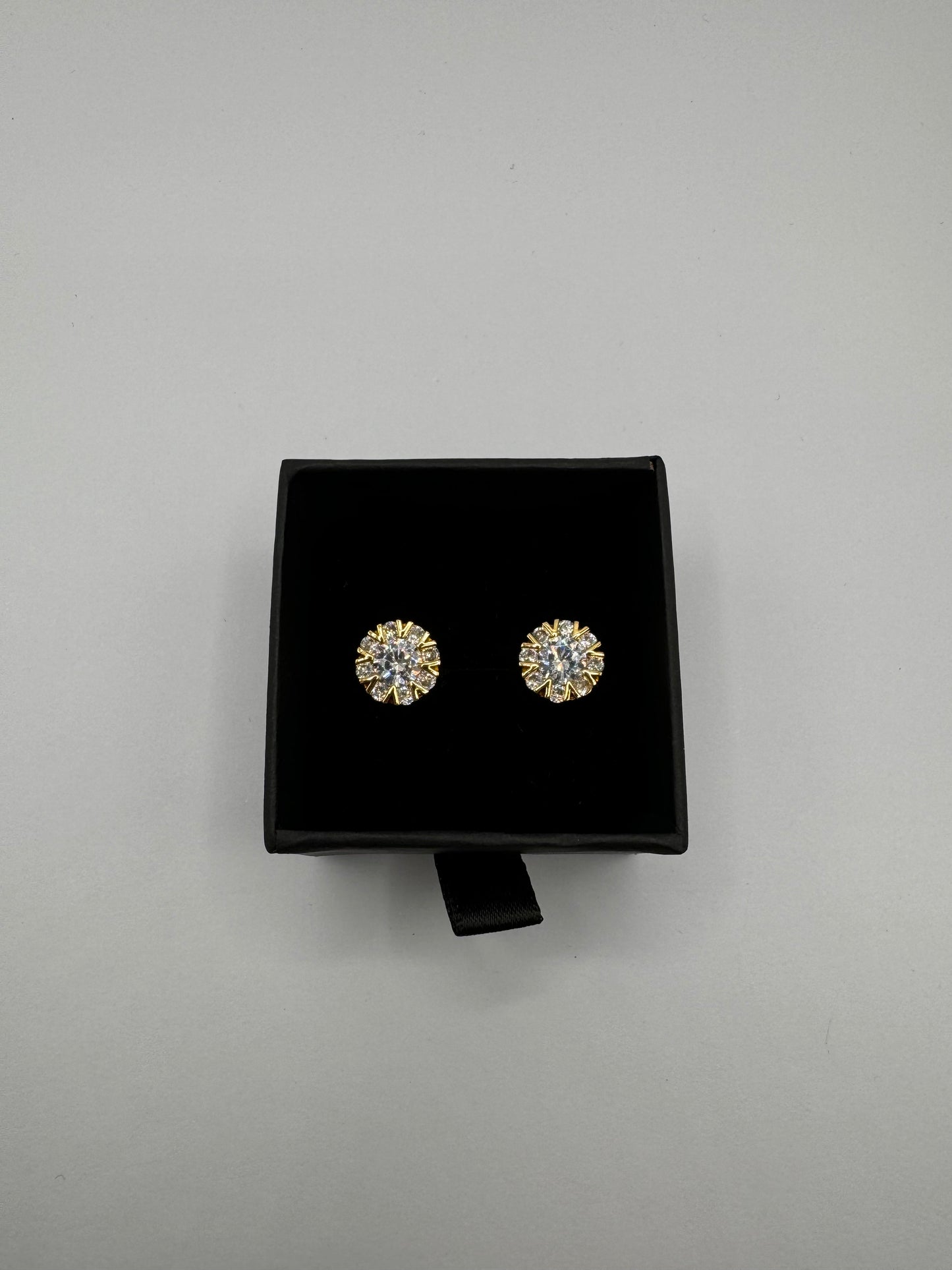 Y10 Earring